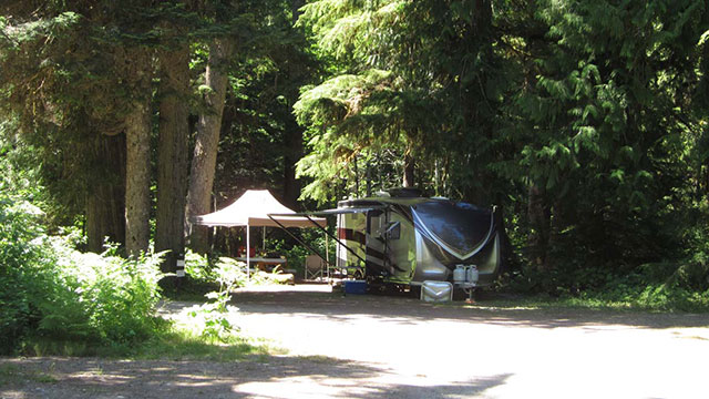 silver-fir-campground