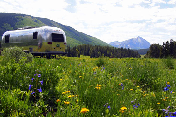 an airstream boondocking in a field of wildflowers