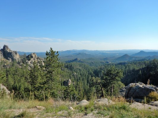 The Best Camping in Black Hills National Forest