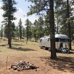 best national forest camping