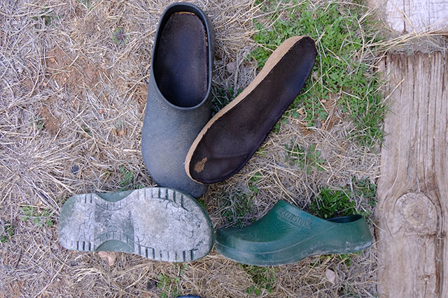 Camping clogs