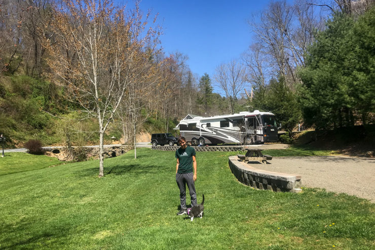 rv in virginia with man and cat