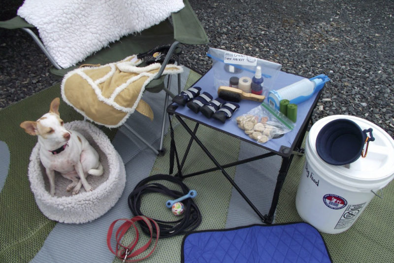camping gear for dogs
