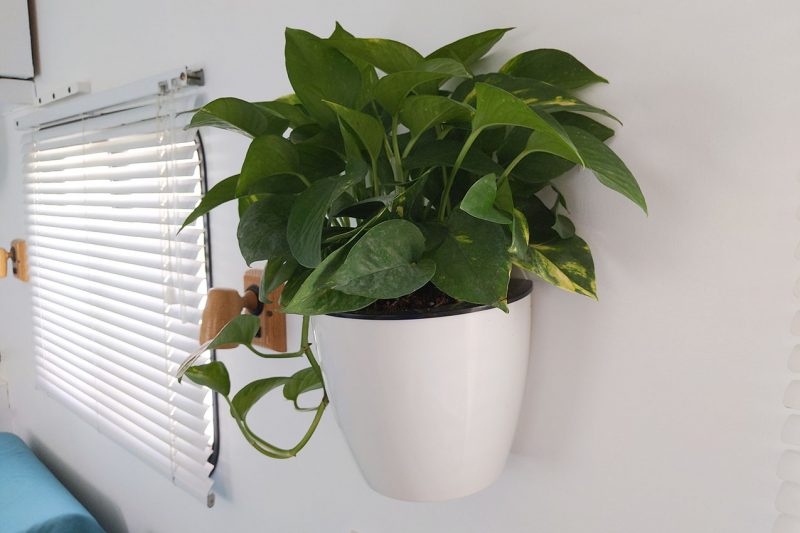 Wall-Hanging-Planter, iKusor Self-Watering-Planter and Window Flower-Pot