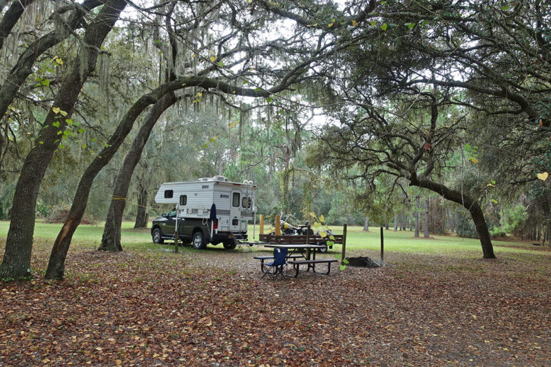 truck camper among the trees in florida