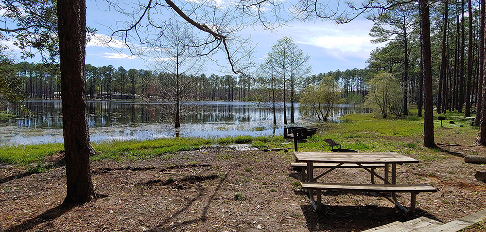 a picnic table next to a lake