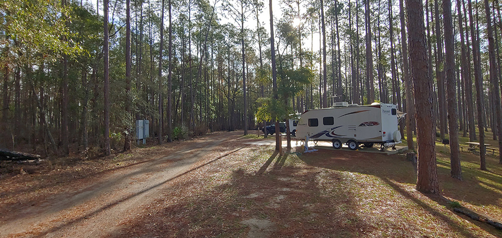 trailer camping in the woods
