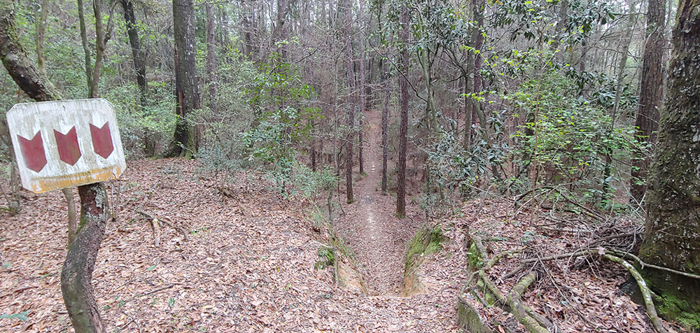 a bike trail in Alabama