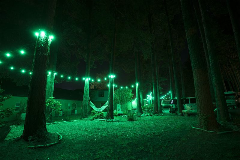 Green lights lighting up campsites
