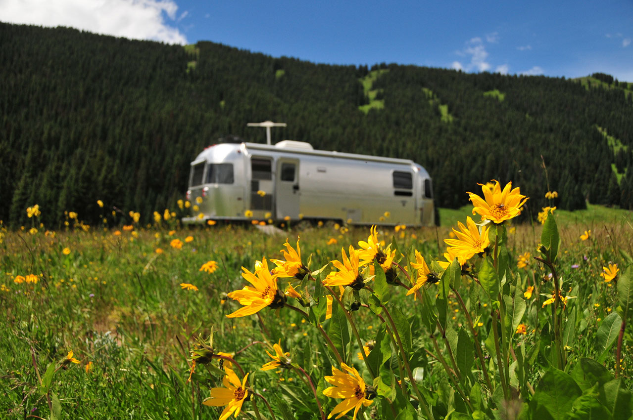 Where to Camp Near the Best Flower Festivals in the U.S.
