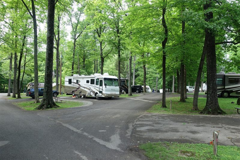 RV's camping in a Kentucky State Park