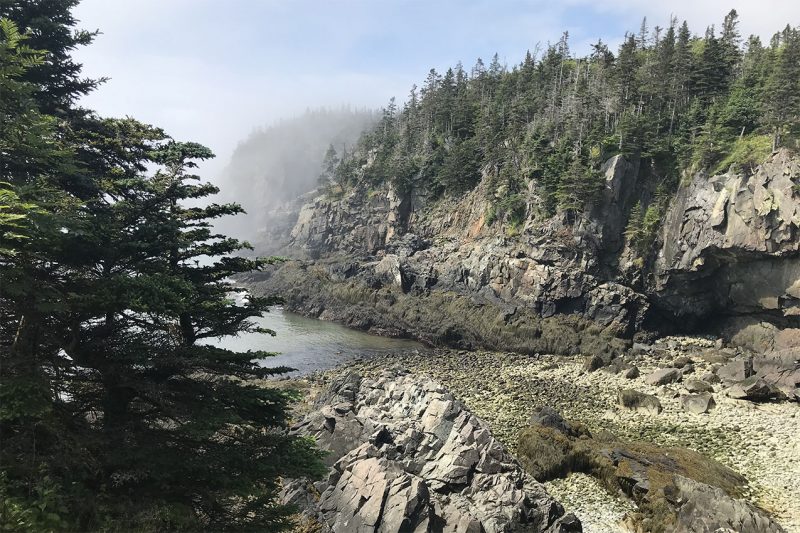Rocky coast of Maine