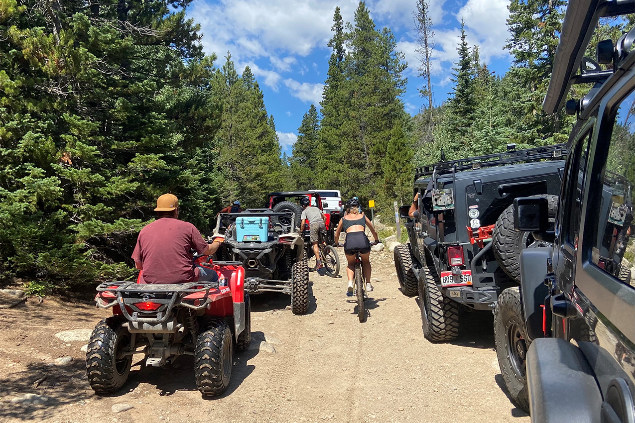 Long line of ATVs and cars down a forest service road.