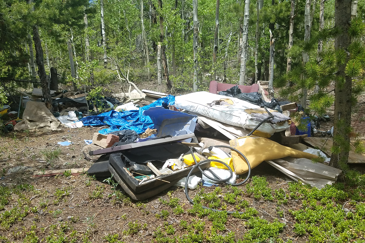 Large pile of trash in the national forest.