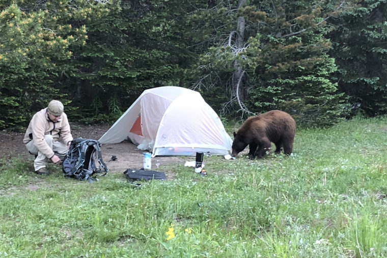 Important Tips on How to Safely Camp in Bear Country