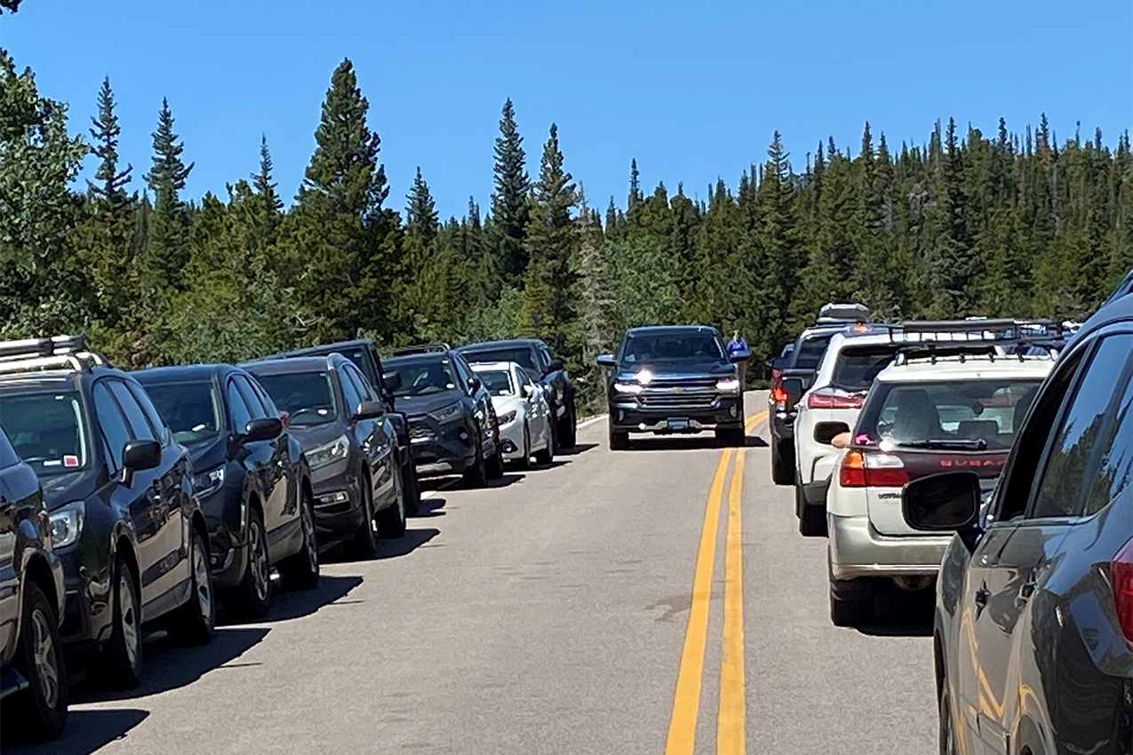 Cars lined down a national forest road.