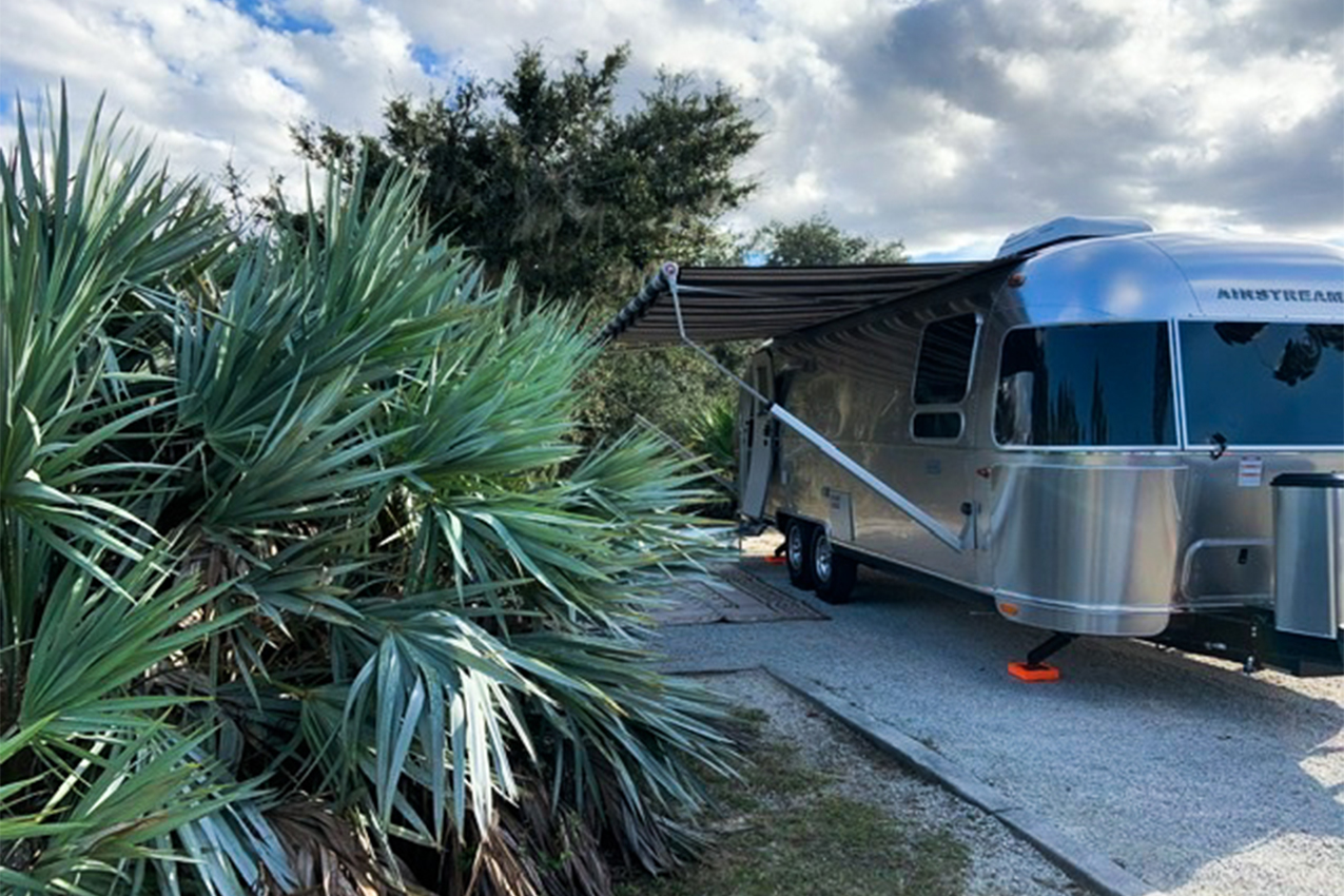 RV parked next to palm trees.
