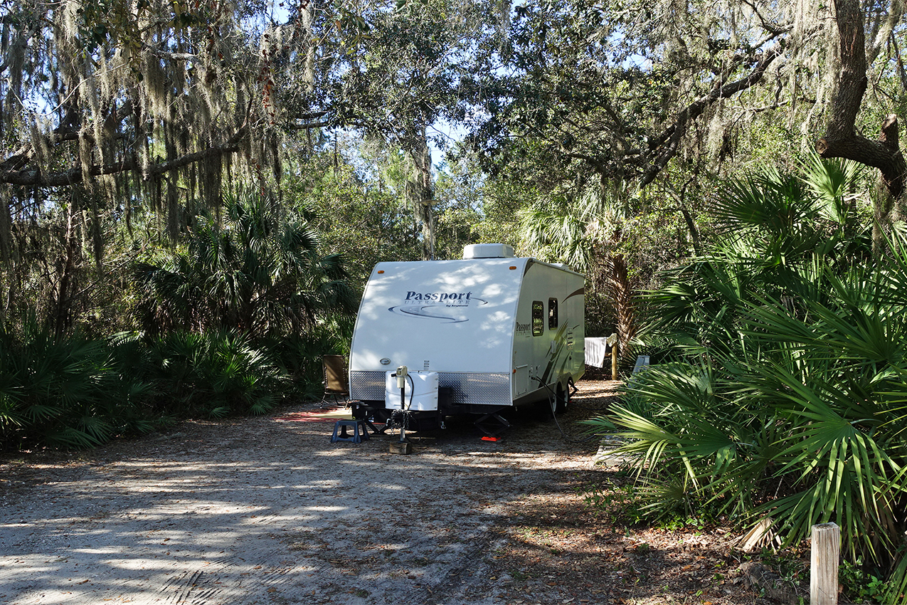 RV parked under a canopy of Spanish moss.