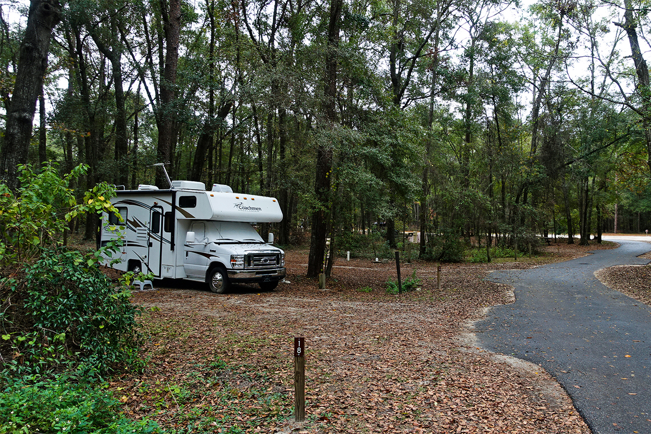 RV parked under trees next to a black top road.