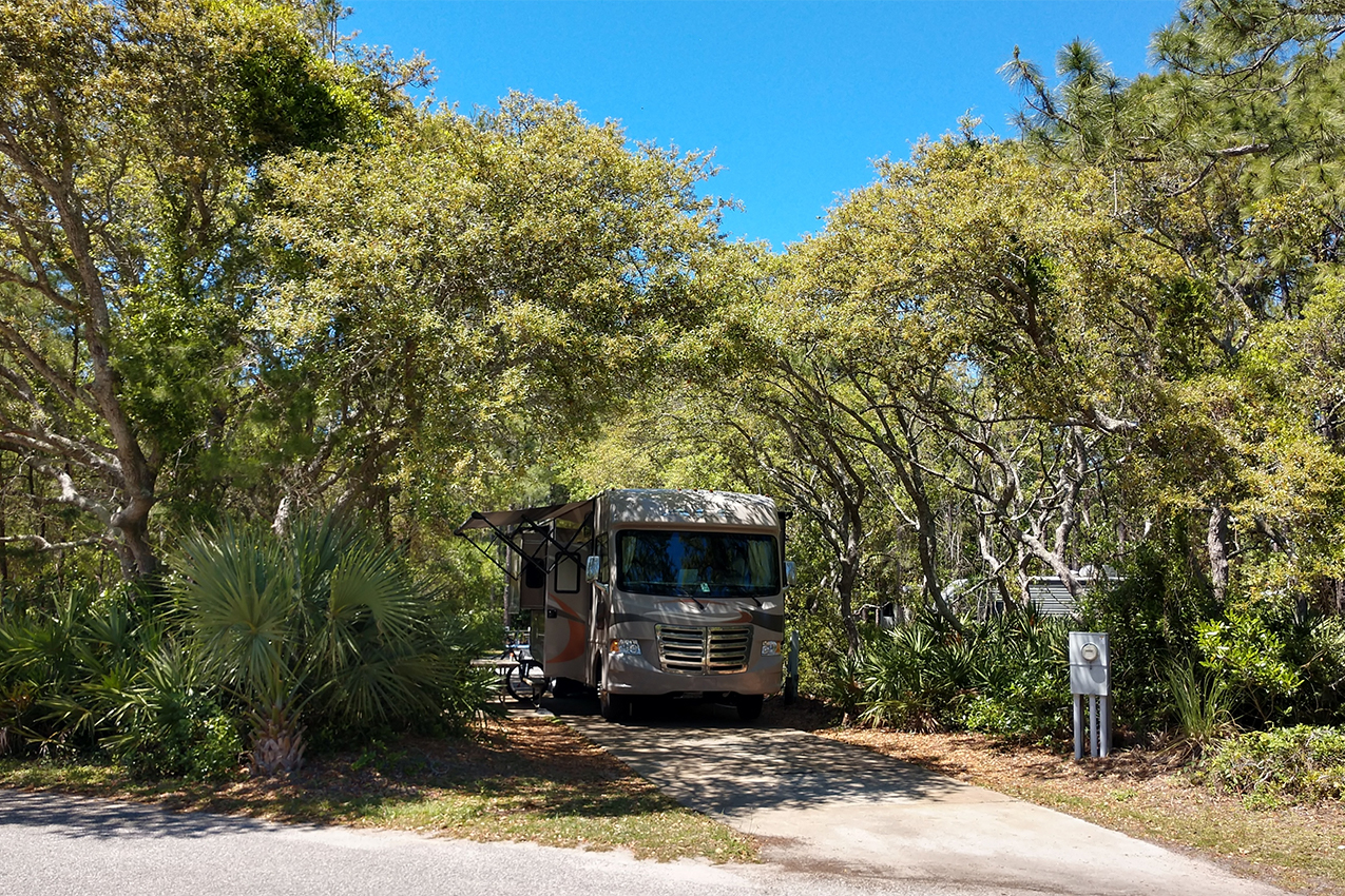 RV parked under a canopy of trees