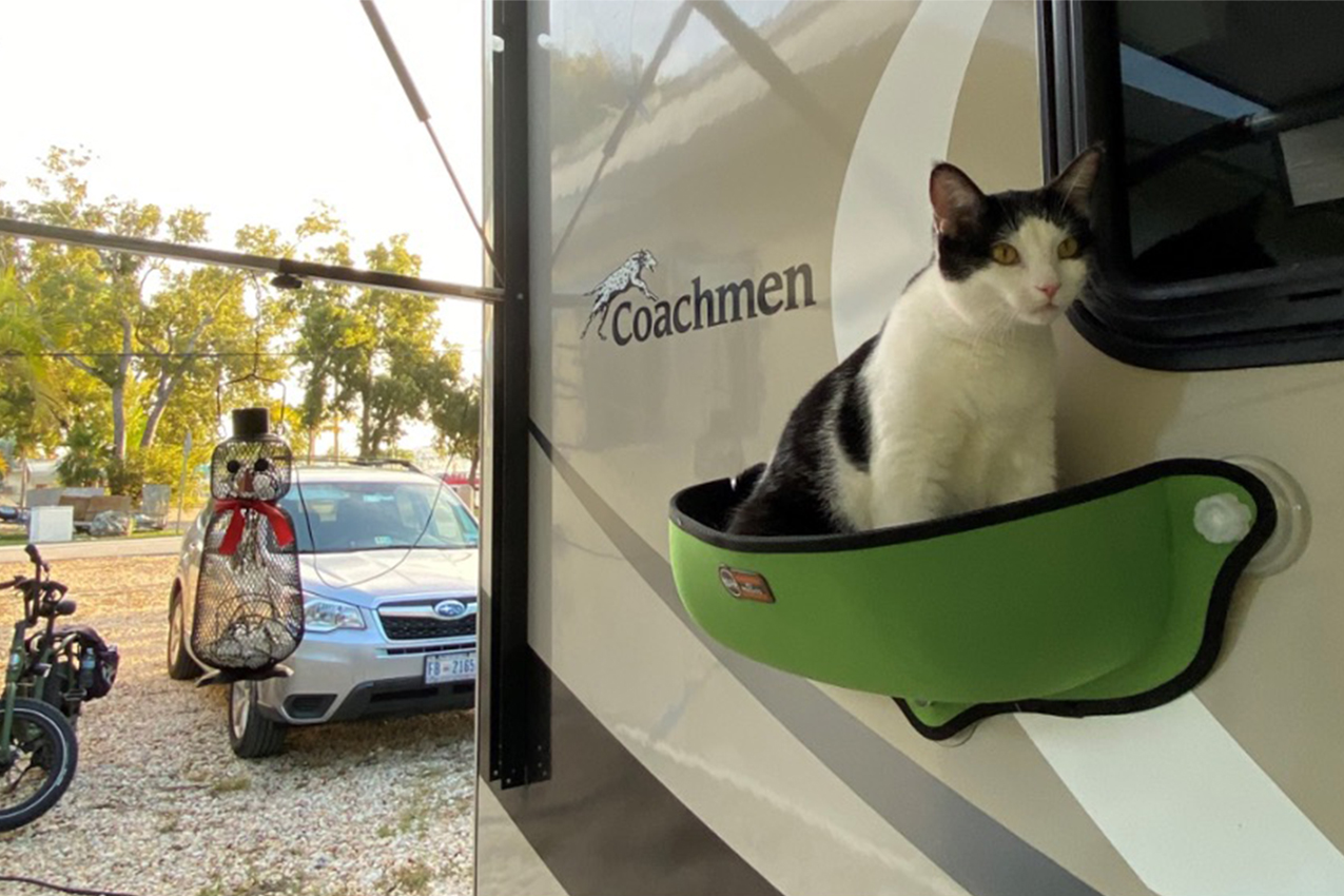 Cat chilling in a pet hammock outside an RV.