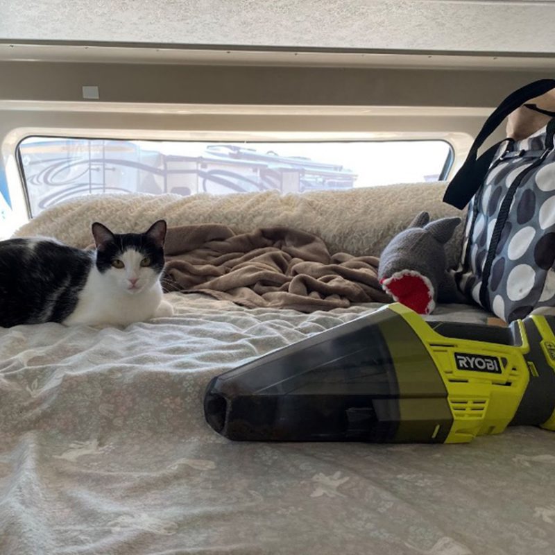 Cat laying on a bed with a hand vacuum.
