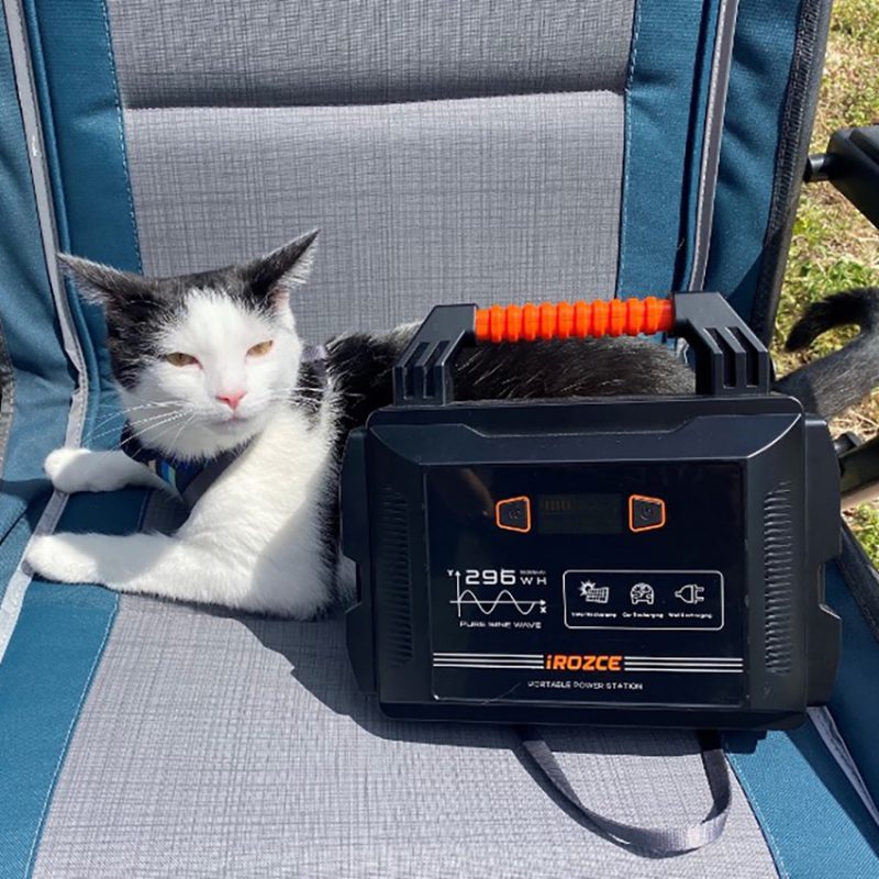 Cat on camp chair with portable power station.