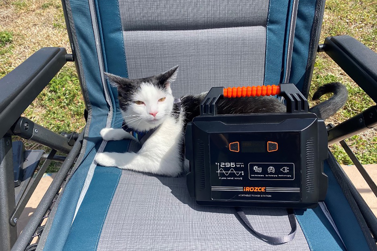Cat laying on a camp chair with a portable power station.
