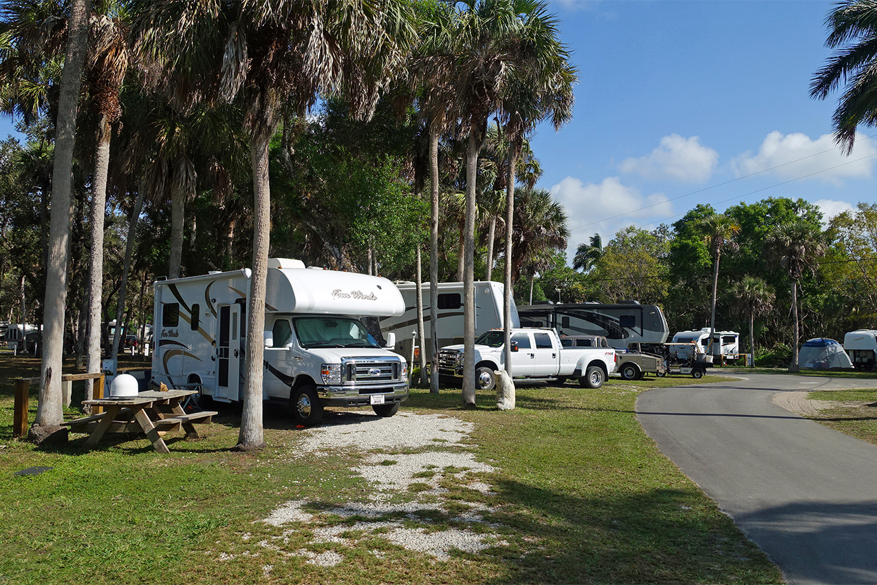 RVs parked in an RV park.