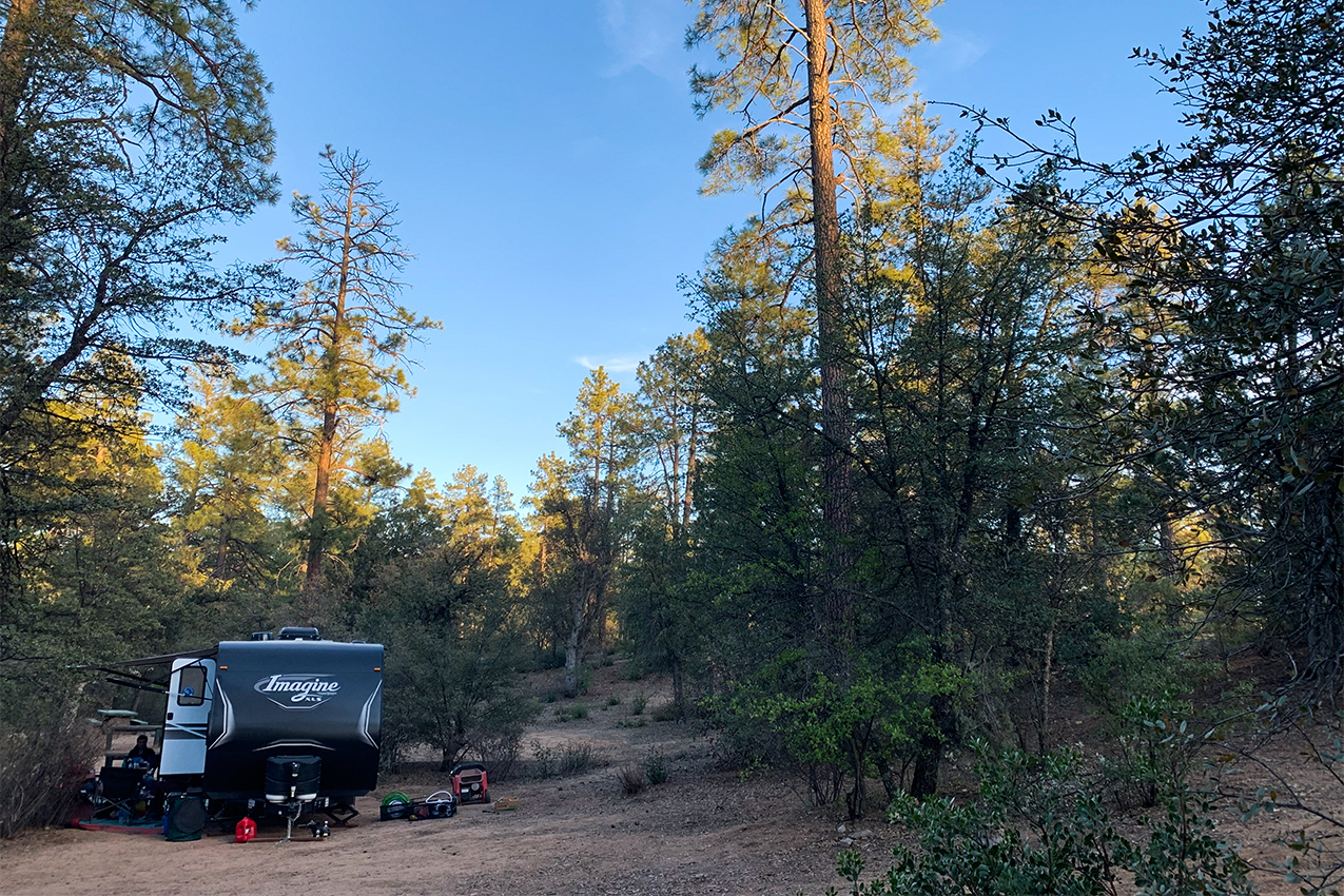 RV parked in the forest.