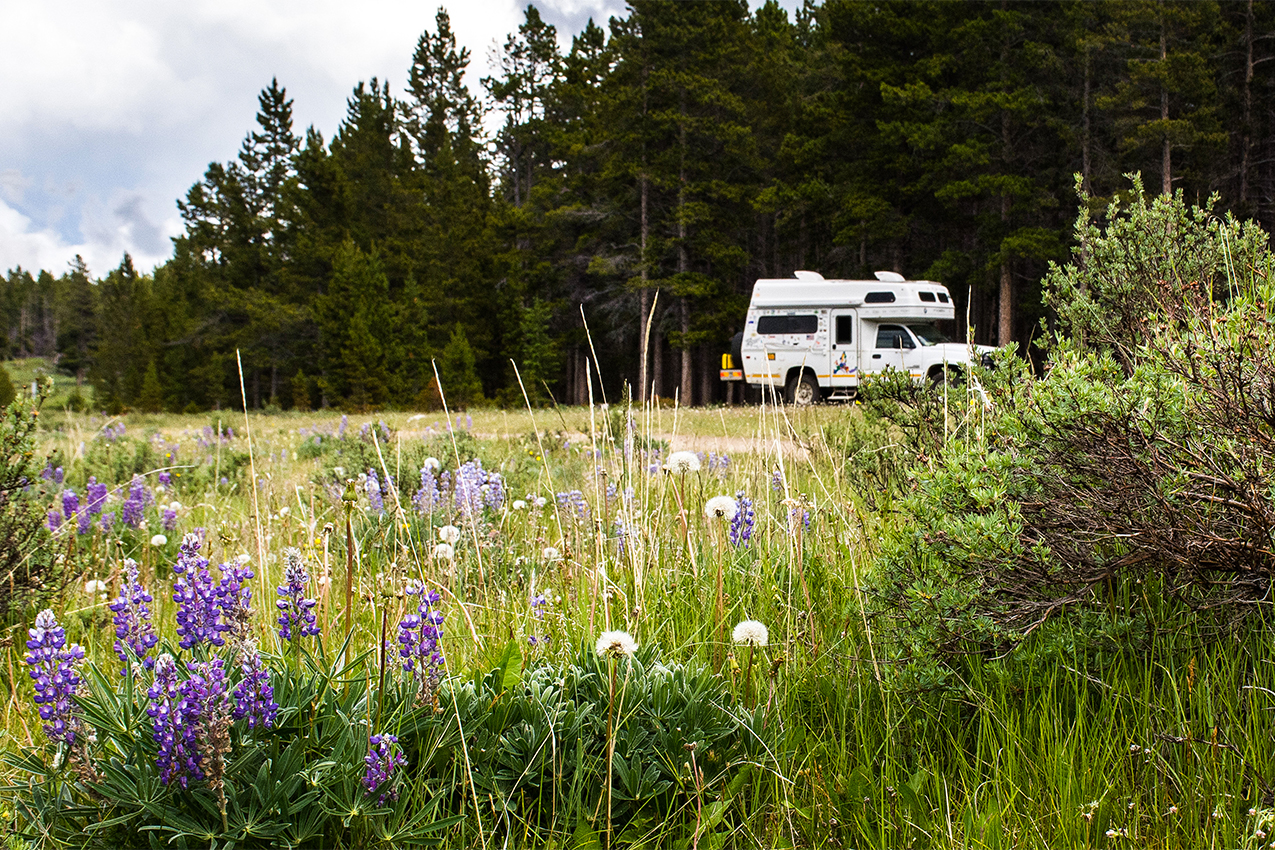 RV parked in a field of wildflowers.