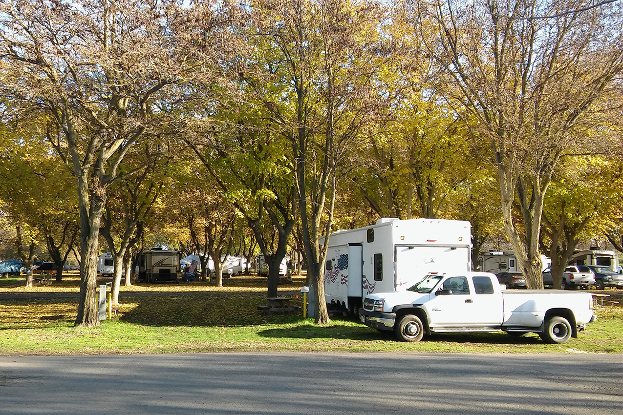 RV parked under trees at an RV park.