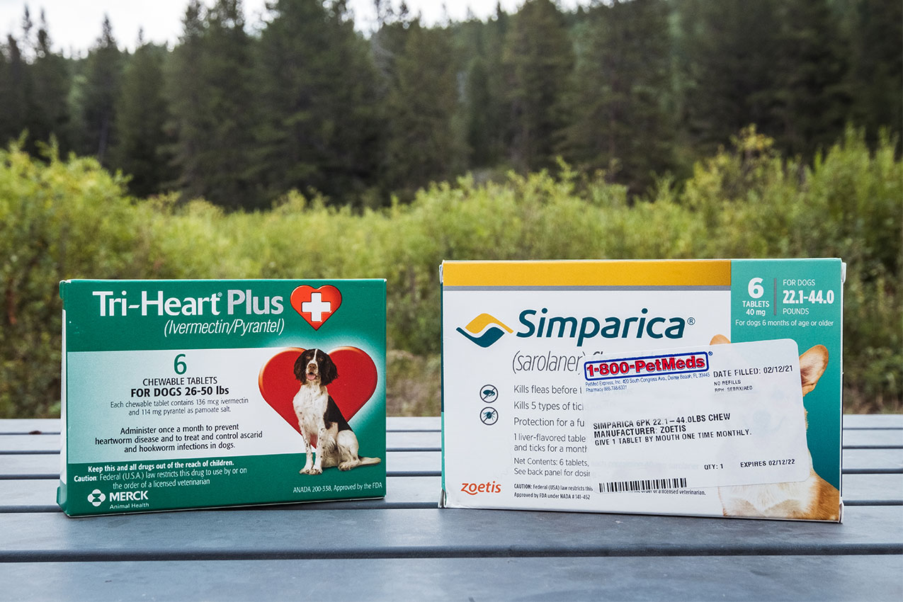 Heartworm and flea medicine for your dog.