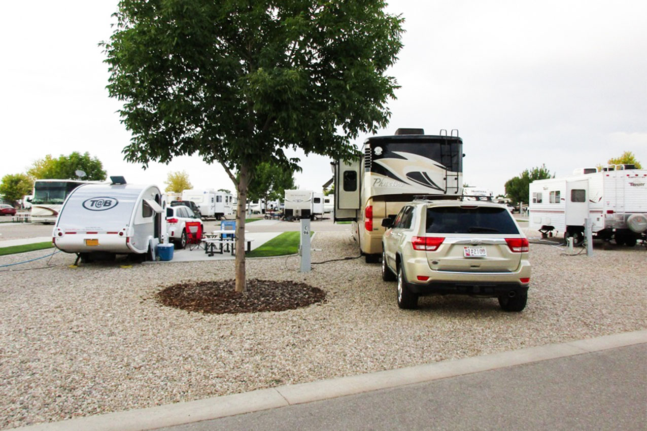 Several different RVs parked at an RV resort.