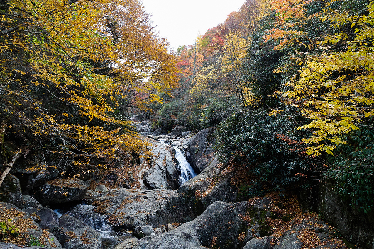 Waterfall surrounded by fall colors.