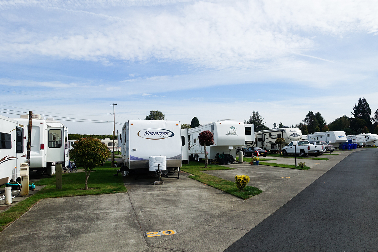 Multiple RVs parked in an RV park.