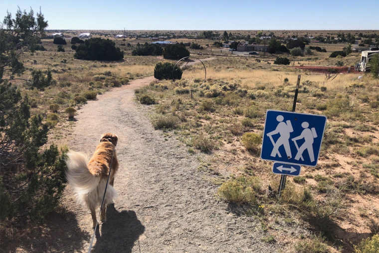 8 of the Best Rated Dog-Friendly RV Campgrounds