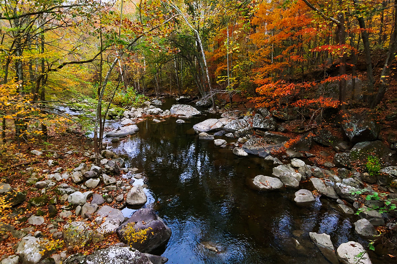 A canopy of yellow, red and orange fall colors over a river.