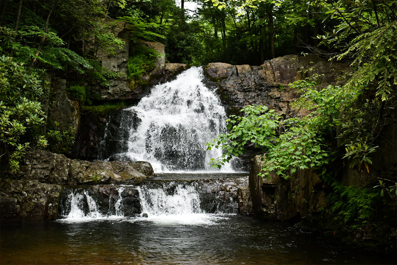 Waterfall surrounded by green foliage.