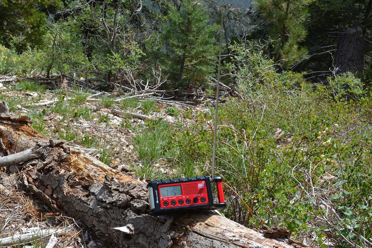 A weather radio placed on a down tree trunk.