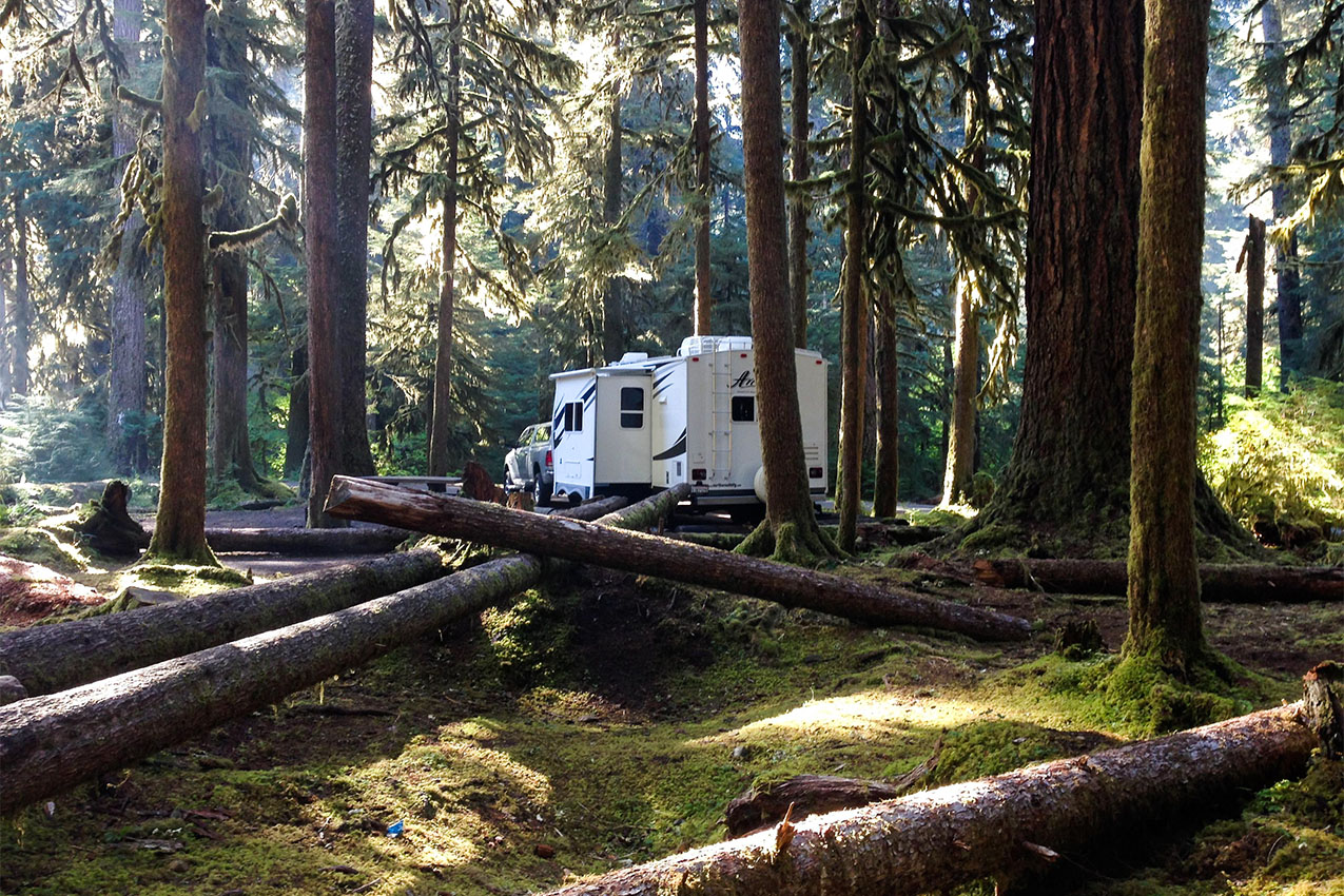 White RV parked in a lush Washington rainforest.