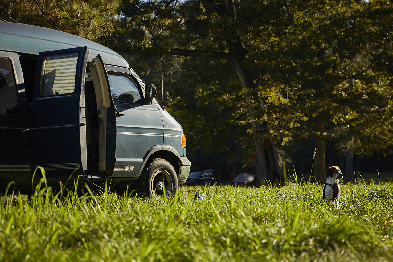 Dog sitting in a grass field next to a van with its doors open.