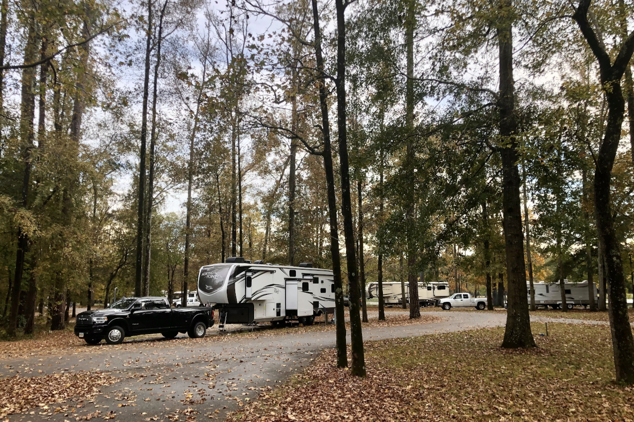 Jennings Ferry Campground