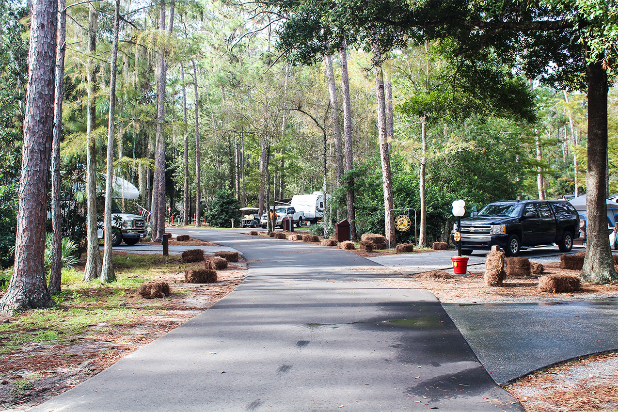 Blacktop road leading through an RV park with rigs parked on either side.