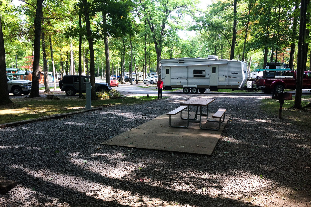 Picnic table on a concrete patio under the trees with RVs in the background.