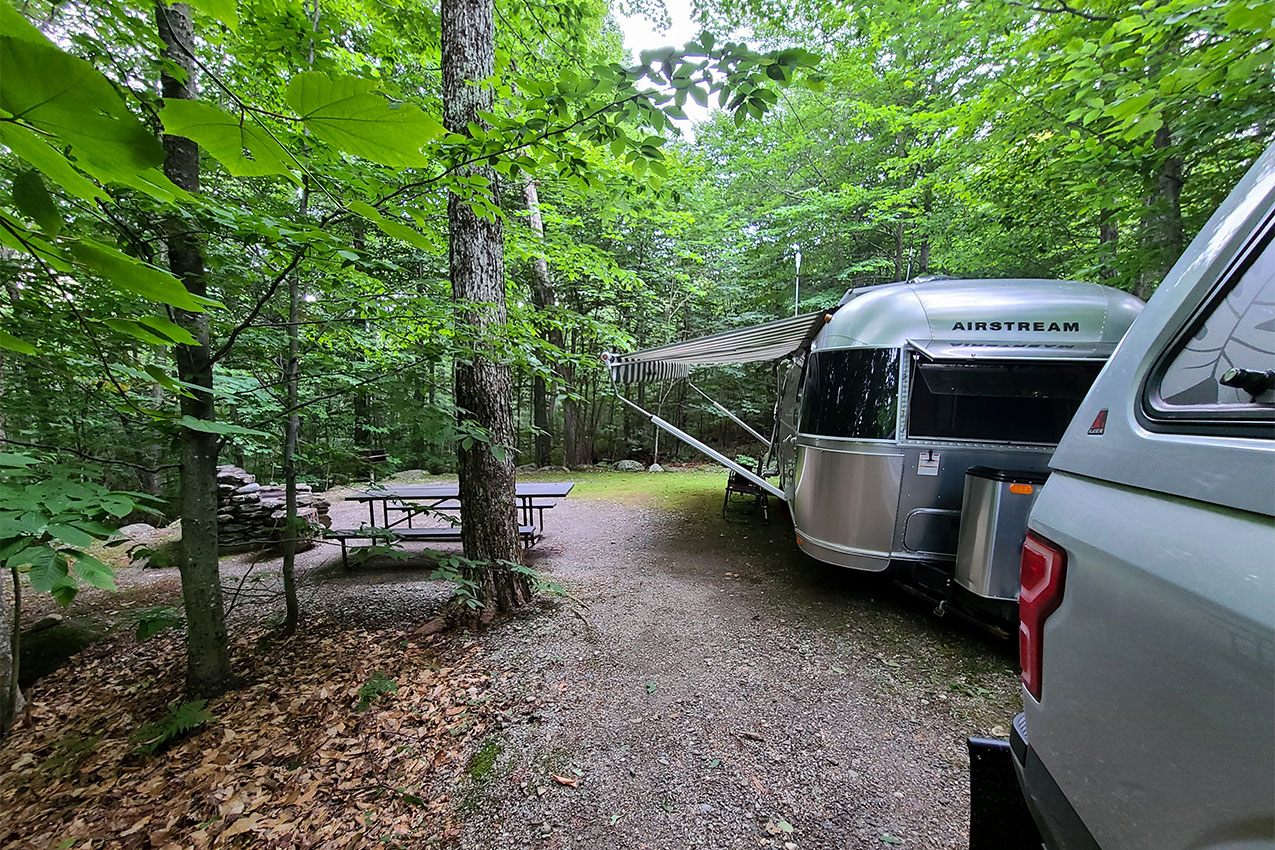 Airstream parked under a forest canopy.