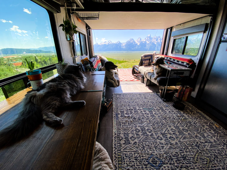 The Ultimate Guide to Boondocking With Pets