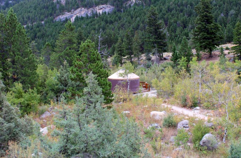 Aerial view of yurt in the dense forest