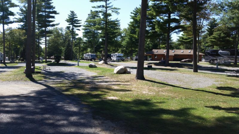 Wooded area at Normandy Farms Campground