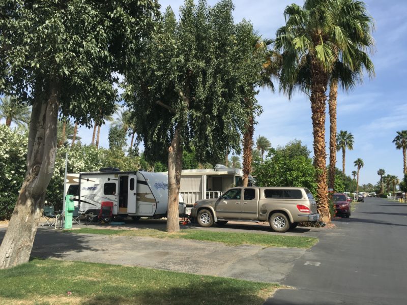 RV and palm trees at Indian Wells RV Resort